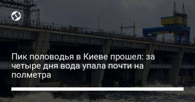 Пик половодья в Киеве прошел: за четыре дня вода упала почти на полметра