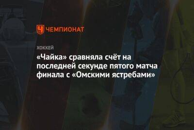 «Чайка» сравняла счёт на последней секунде пятого матча финала с «Омскими Ястребами»