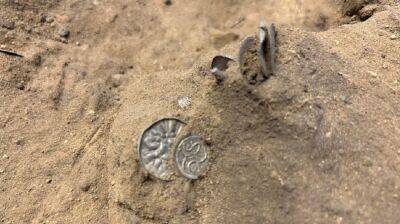Серебро и монеты викингов конца 10 века нашли в северной Ютландии - фото