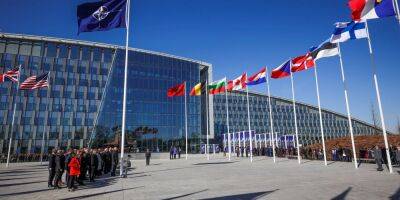 Польша раскритиковала позицию Германии по вступлению Украины в НАТО