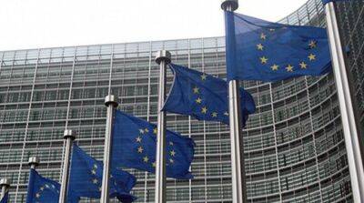 Импорт украинского зерна: Еврокомиссия и 5 стран ЕС не достигли договоренностей