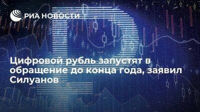 Министр финансов Силуанов заявил, что ЦБ до конца года запустит цифровой рубль в обращение