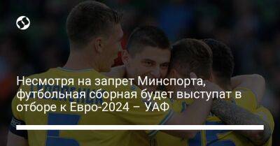 Несмотря на запрет Минспорта, футбольная сборная будет выступат в отборе к Евро-2024 – УАФ