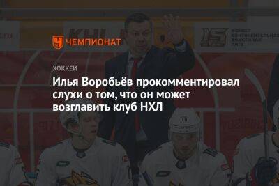 Илья Воробьев - Илья Воробьёв прокомментировал слухи о том, что он может возглавить клуб НХЛ - championat.com - Россия - Санкт-Петербург