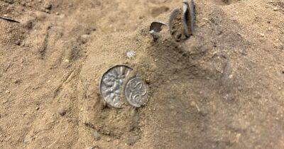 Раскопанное прошлое викингов: в Дании обнаружили похищенное древними мореплавателями сокровище короля