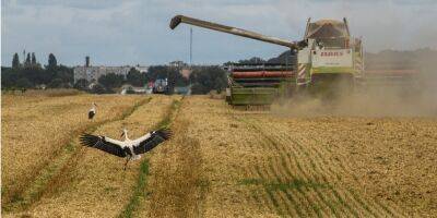 РФ обвинила Украину в «нарушении зернового соглашения»