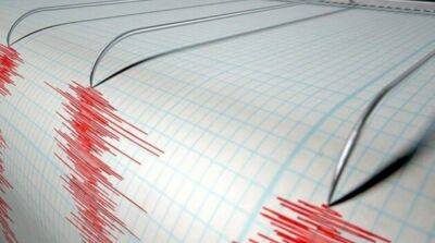 Возле Индонезии произошло землетрясение магнитудой 7,3