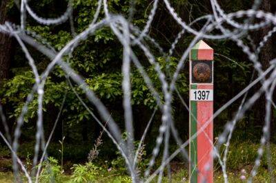 Сейм Литвы узаконил разворачивание на границе нелегальных мигрантов