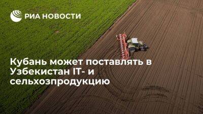 Кубань может поставлять в Узбекистан IT- и сельхозпродукцию в рамках сотрудничества