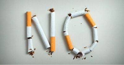 Нагревать, а не сжигать. Как переход с сигарет на бездымные продукты может снизить вред для здоровья