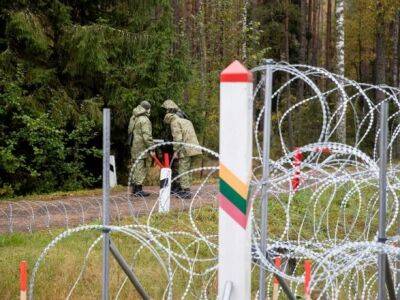 В Литве узаконили политику разворота нелегальных мигрантов