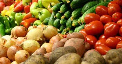 Уже в мае на рынках ГБАО появятся первые овощи из рушанских теплиц