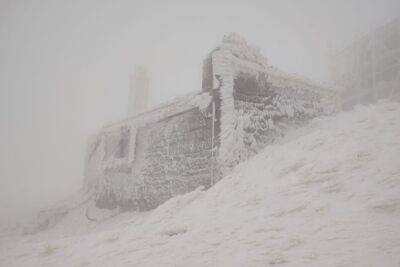 В разгар весны запад Украины заметает снегом: сильные метели с ураганным ветром - спасатели бьют тревогу