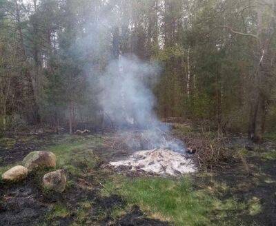 На пожаре в Щучинском районе из-за неосторожного сжигания мусора погиб мужчина