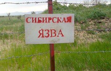 Россияне раскопали в Украине скотомогильник с сибирской язвой: солдат вывезли в неизвестном направлении