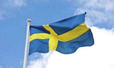 Глава ЦБ Швеции Теден заявил, что видит основания для дальнейшего укрепления кроны