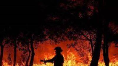 Пожары в Свердловской области уничтожили 147 жилых домов