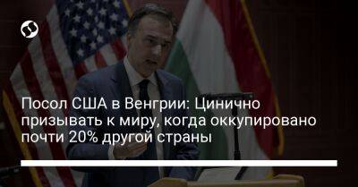 Посол США в Венгрии: Цинично призывать к миру, когда оккупировано почти 20% другой страны