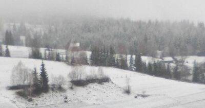 Украинское село засыпало снегом в разгар весны (фото и видео)