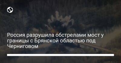 Россия разрушила обстрелами мост у границы с Брянской областью под Черниговом
