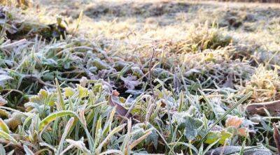 До 5 мороза: синоптики срочно уточнили погоду на сегодня - ждите неприятных выкрутасов