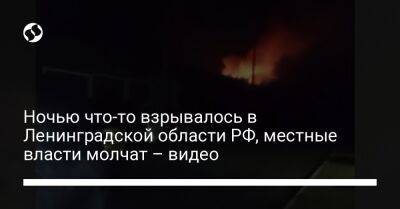 Ночью что-то взрывалось в Ленинградской области РФ, местные власти молчат – видео