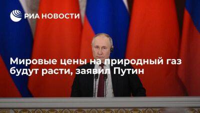 Путин назвал газ дорогим продуктом и заявил, что мировые цены на него будут расти