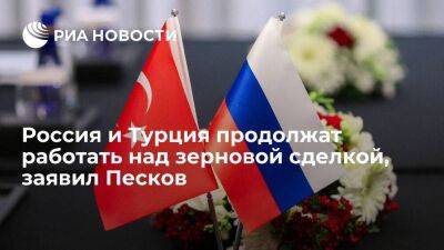Песков: Россия и Турция продолжат работу над вопросами по реализации зерновой сделки