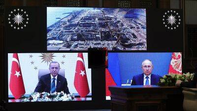Путин и Эрдоган открыли по видеосвязи АЭС "Аккую" в Турции
