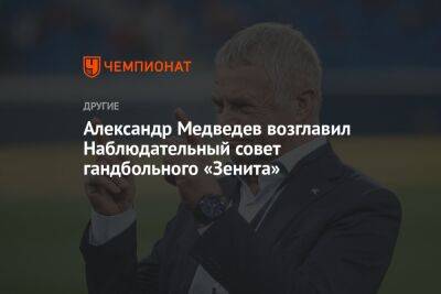 Александр Медведев возглавил Наблюдательный совет гандбольного «Зенита»