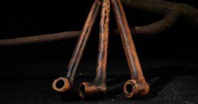 Оружие и хирургические инструменты. В 18 веке люди не только курили из глиняных трубок