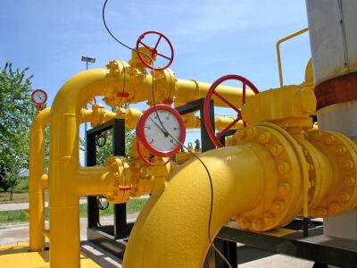 Правительство Украины могло бы разрешить экспортировать хотя бы 50% газа частной добычи – "Західнадрасервіс"