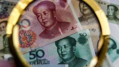 Названы преимущества решения Аргентины перейти на оплату в юанях импорта из КНР