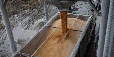 Греция раскритиковала решение некоторых стран ЕС ограничить импорт зерна из Украины
