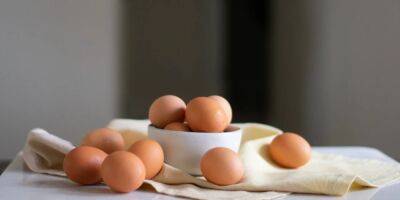 Крупный украинский производитель яиц сократил производство, но сильно нарастил экспорт