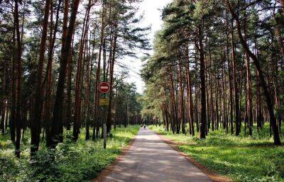 Жителям Твери напомнили о правилах поведения в городских рощах и в Сахаровском парке