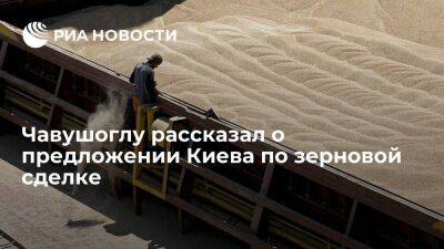 Чавушоглу: Украина предложила расширить список товаров для экспорта по зерновой сделке