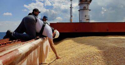 Ввоз зерна из Украины в Европу: Польша и ЕС договорились о новых ограничениях