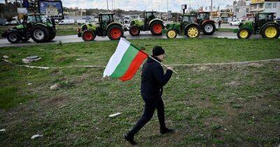 Протесты фермеров не помогли: ЕС продлил беспошлинный экспорт украинского зерна на год, — СМИ