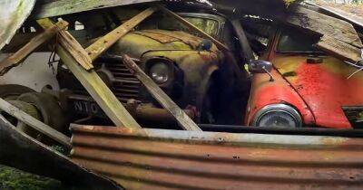 В разрушенном сарае обнаружили огромную коллекцию ретро-авто (фото, видео)