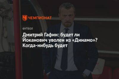 Дмитрий Гафин: будет ли Йоканович уволен из «Динамо»? Когда-нибудь будет