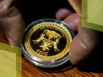 Зимбабве планирует запустить цифровую валюту
