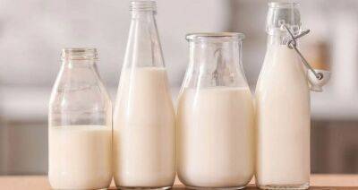 Польские молочники выступают против запрета на ввоз молока с Украины