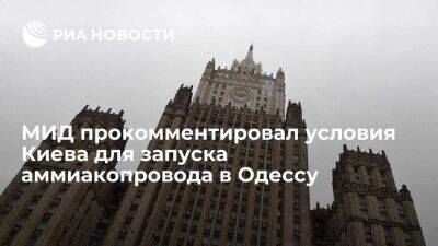 Вершинин: Москва отвергает условия Киева по запуску аммиакопровода "Тольятти — Одесса"