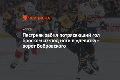 Пастрняк забил потрясающий гол броском из-под ноги в «девятку» ворот Бобровского