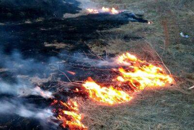 За сутки на Харьковщине выгорело 100 гектаров — ГСЧС