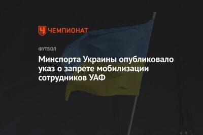 Андрей Павелко - Минспорта Украины опубликовало указ о запрете мобилизации сотрудников УАФ - championat.com - Украина