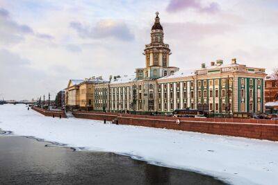 В Санкт-Петербурге задержана подозреваемая в убийстве военкора Татарского