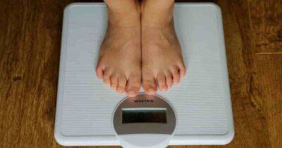 Жировые клетки растягиваются, а не размножаются: что вы на самом деле знаете о наборе веса