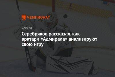 Серебряков рассказал, как вратари «Адмирала» анализируют свою игру